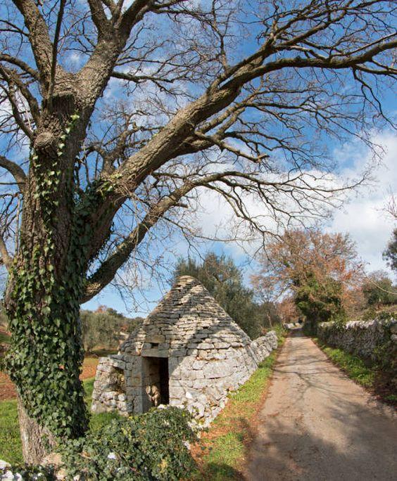 Casa Emilia Leilighet Monopoli Eksteriør bilde